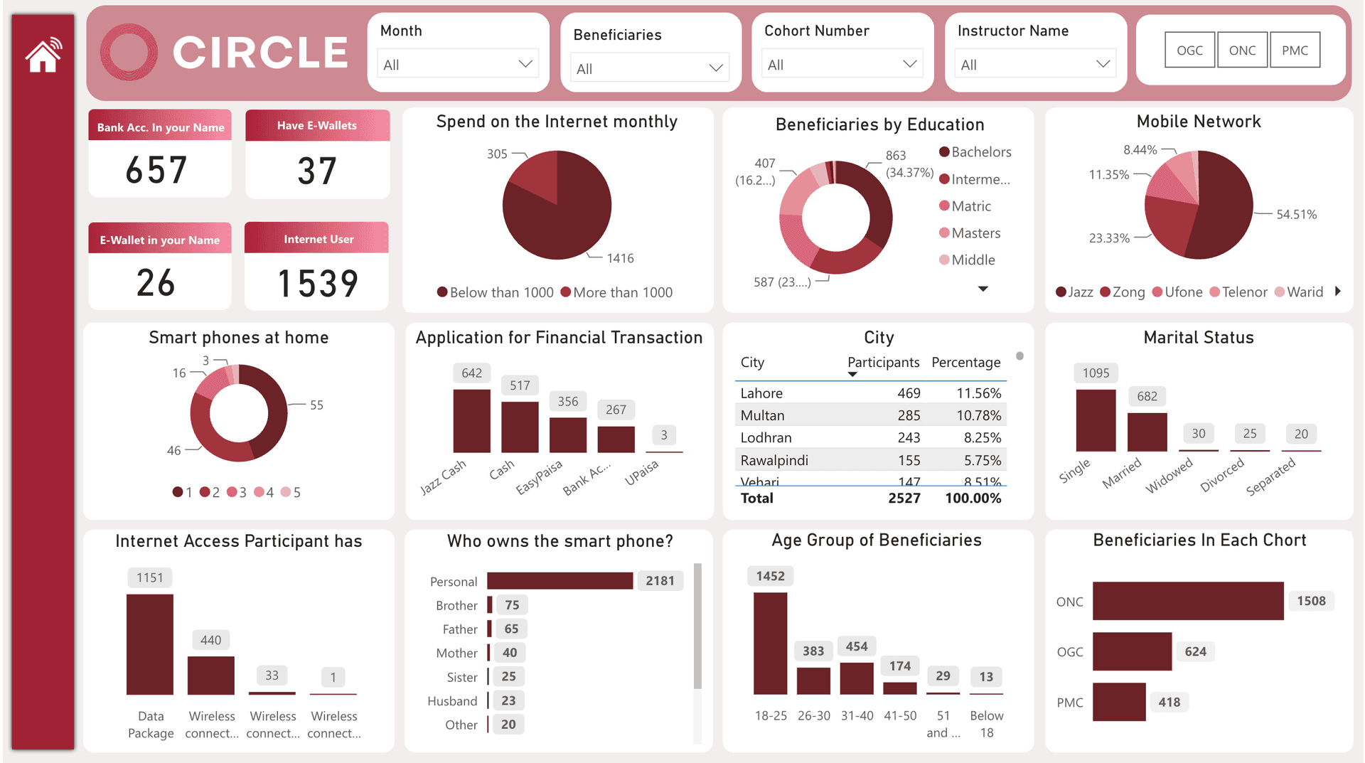 Power BI dashboard showing bank accounts and mobile wallets in participants’ own names, monthly internet spend, and applications used for financial transactions (JazzCash, EasyPaisa, bank).